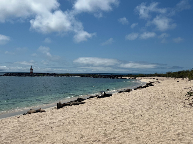 Playa Punta Carola San Cristobal Galapagos