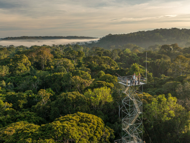 Brazilië Cristalino Lodge Uitkijktoren