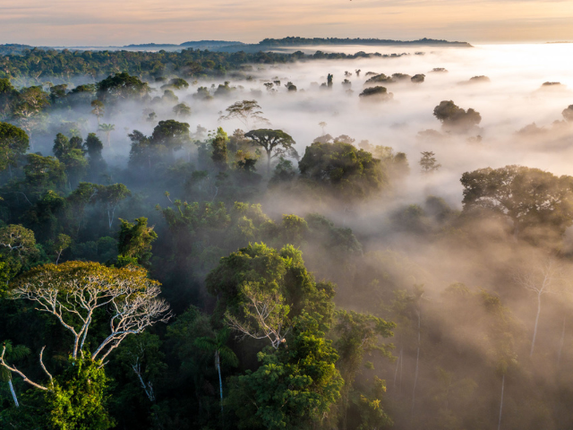 Brazilië Cristalino Lodge Uitzicht Toren