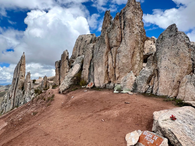 Peru Cusco het stenen bos bij Palcoyo Mountain