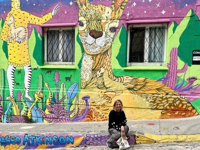 Santiago de Chile Valparaiso Streetart Nicole