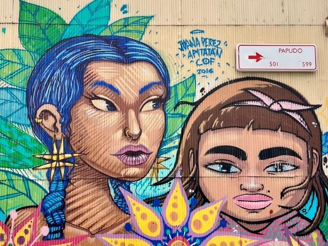 Valparaiso Streetart locals