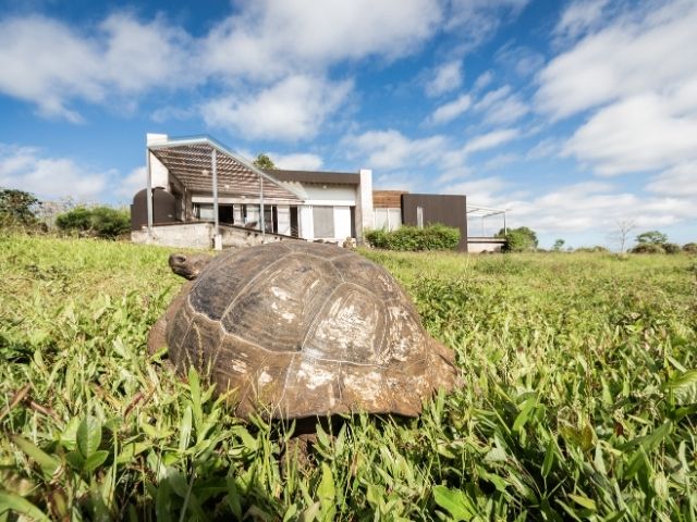 Luxe hotels op de Galapagos Montemar Villas met reuzenschildpad