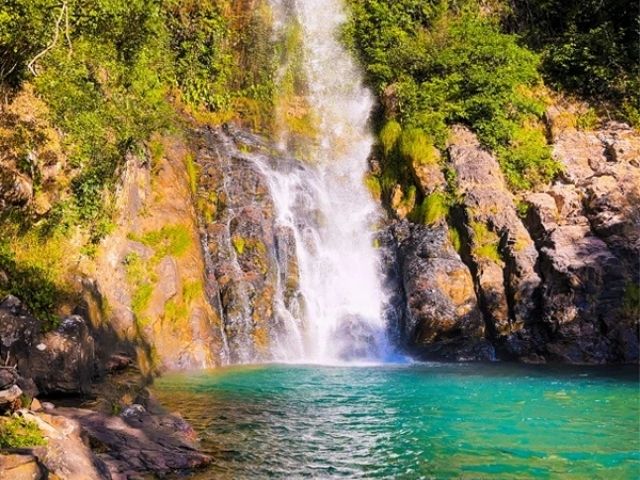 Savanne natuur in Brazilië