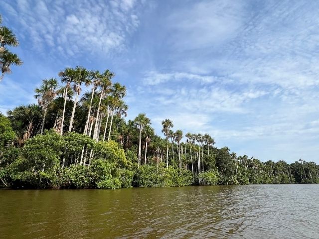 Puerto Maldonado Peru Lake Sandoval