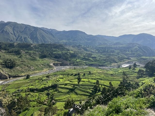 Peru Colca Canyon terrassen