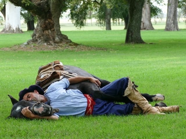 Pampa Argentinië gaucho en paard