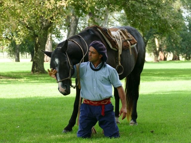 Pampa Argentinië paardenshow